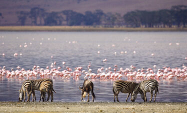 4 Days Lake Naivasha and Lake Nakuru Safari