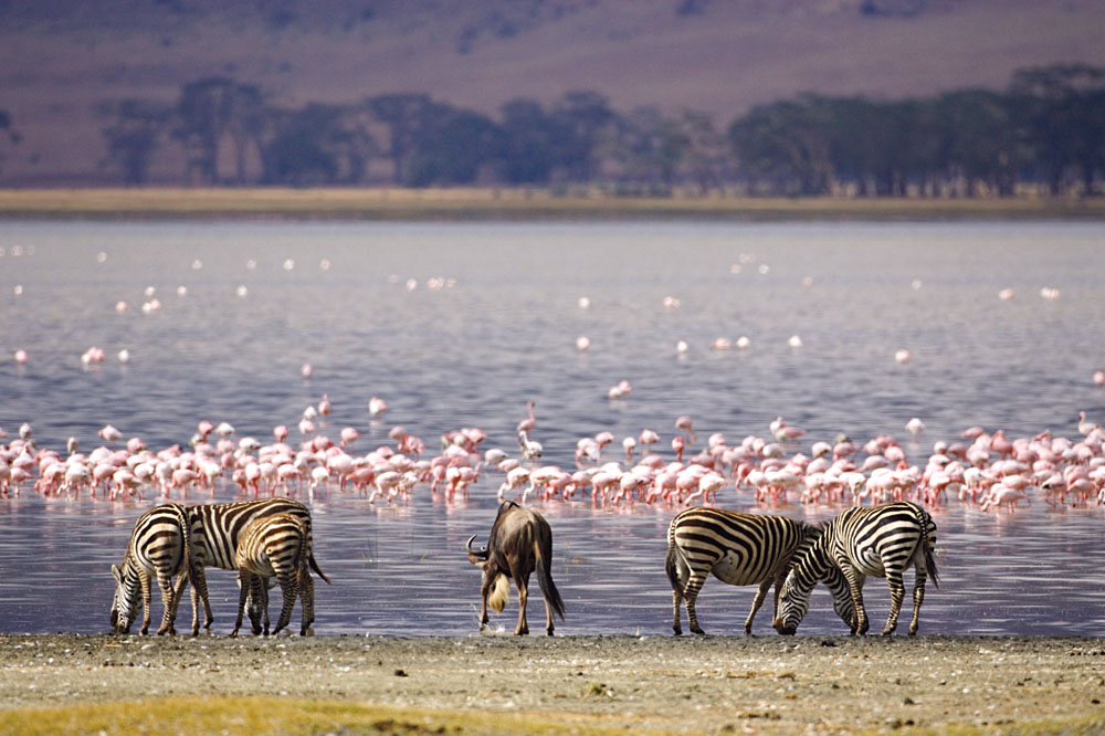 4 Days Lake Naivasha and Lake Nakuru Safari