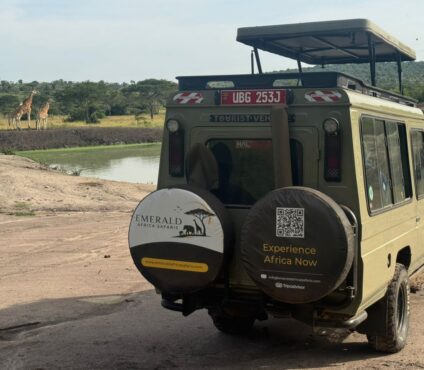 Best Time to Visit Uganda